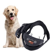 憨憨樂園寵物用品專營店 為愛寵打造貼心護(hù)理體驗(yàn)