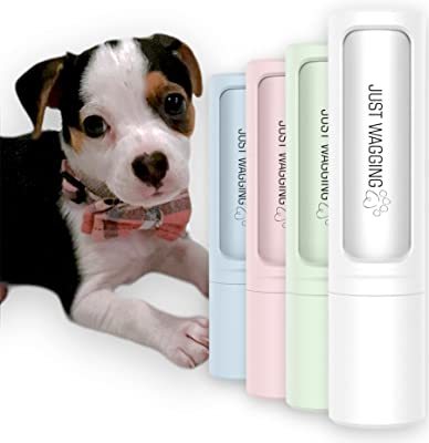 寵物用品的全方位指南