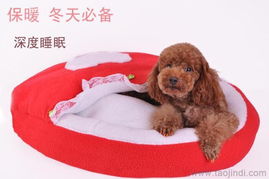 優(yōu)質(zhì)寵物窩墊與用品廠家直銷，批發(fā)價(jià)格盡享舒適與實(shí)惠