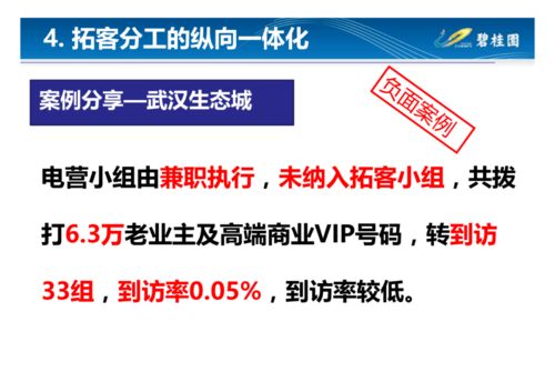 碧桂園營銷模式總結 做房地產真正的經營者